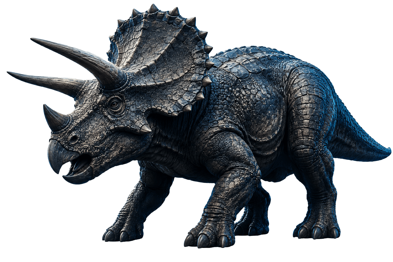 Triceratops